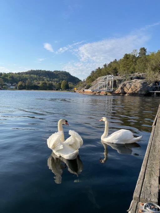 Leilighet Ved Sjoen Med Strand Apartment Porsgrunn Luaran gambar